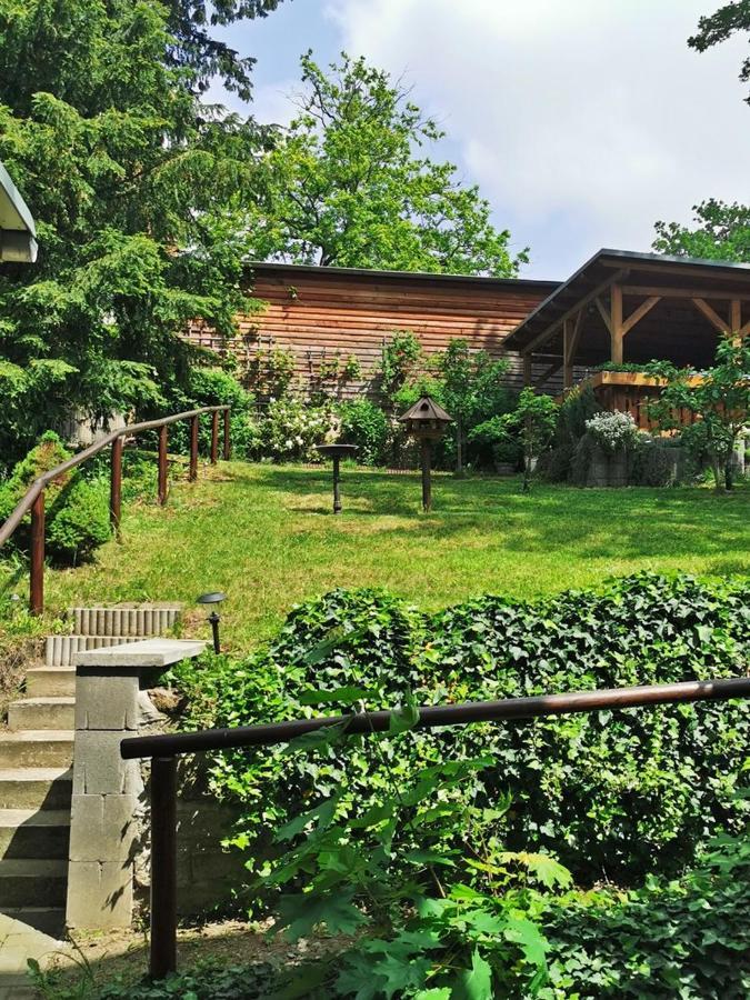 Pension Ginko Wernigerode Eksteriør bilde